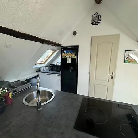 La Maison Gauloise - Asterix Cdg Paris Апартаменты *