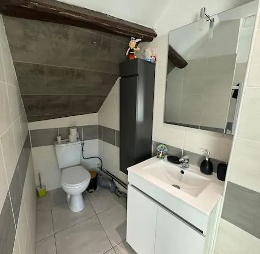 La Maison Gauloise - Asterix Cdg Paris