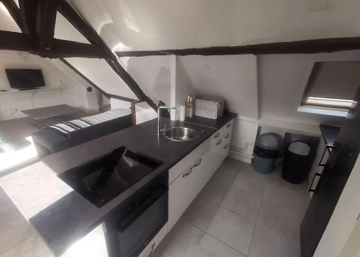 La Maison Gauloise - Asterix Cdg Paris *