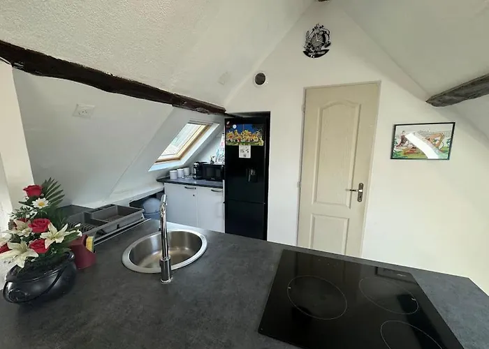 La Maison Gauloise - Asterix Cdg Paris Apartment *